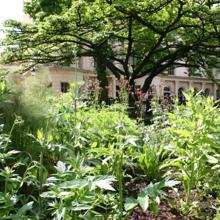 RCP Garden 2