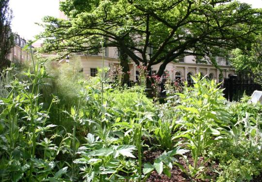 RCP Garden 2