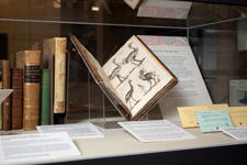 Image of books in the Body of Knowledge exhibition