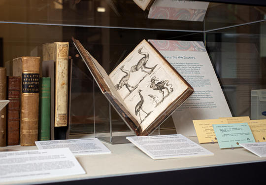 Image of books in the Body of Knowledge exhibition