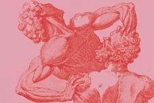 Queer Anatomies Book Cover Crop