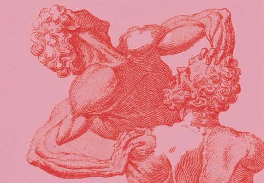Queer Anatomies Book Cover Crop