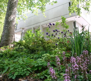 RCP Garden 1