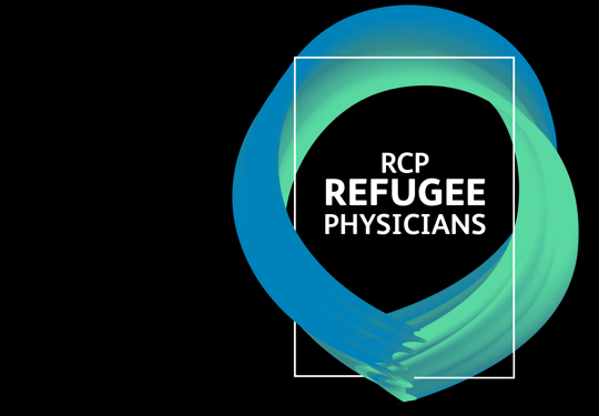 Refugee Graphic Landscape