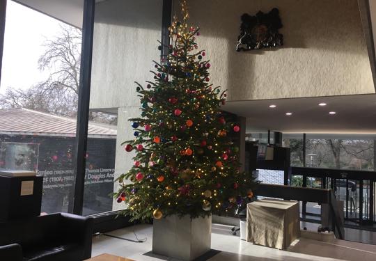 RCP Christmas Tree