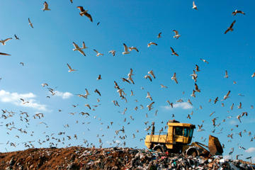 Landfill And Bulldozer