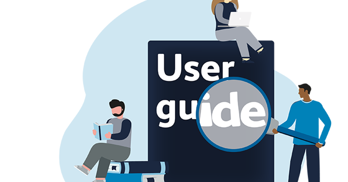 FLS-DB audit webtool guidance